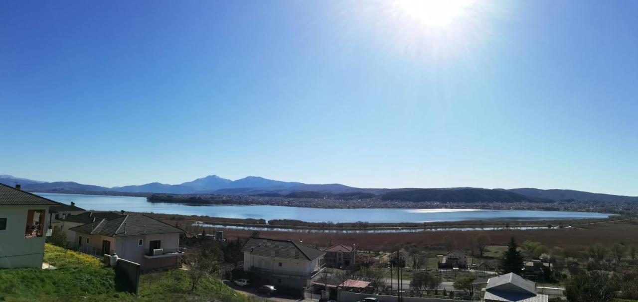 House With View In Amfithea Apartamento Ioannina Exterior foto