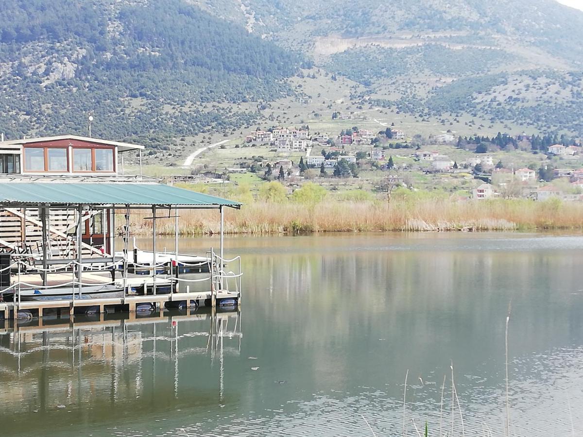 House With View In Amfithea Apartamento Ioannina Exterior foto
